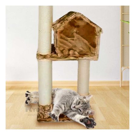 imageUrl_1 imageUrl_1