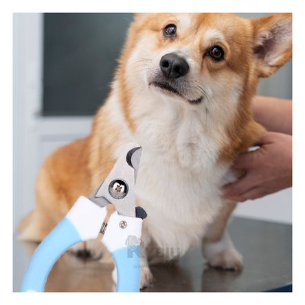 Corta Uñas Facil de Usar Chico en Celeste Y+Papel de Regalo Corta Uñas Facil de Usar Chico en Celeste Y+Papel de Regalo