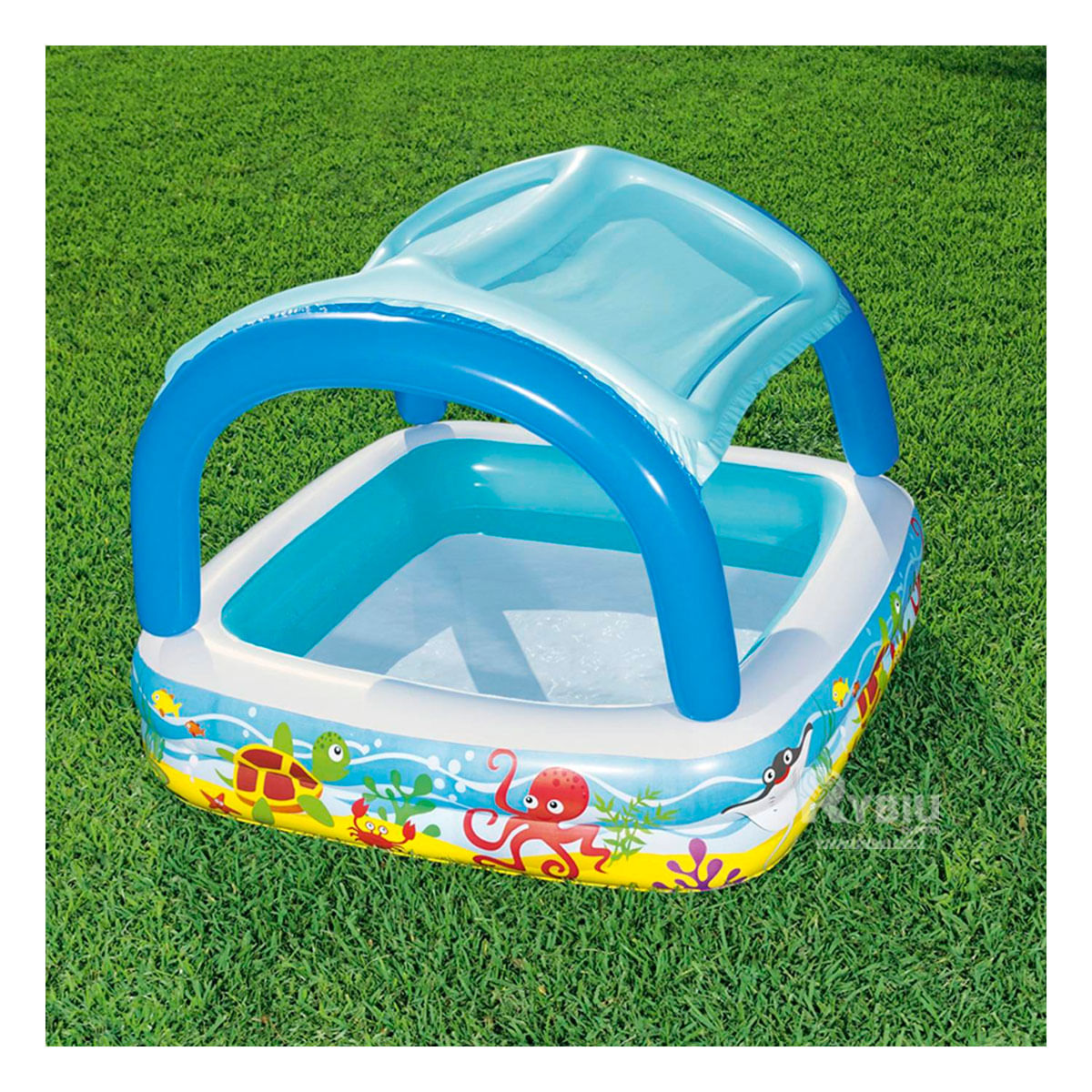 Piscina Canopy y Acolchada para Diversion Infantil