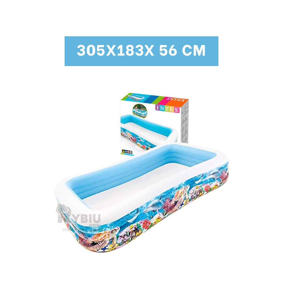 Pileta Recreativa en Multicolor Y+Regalo Ligas para Peinar