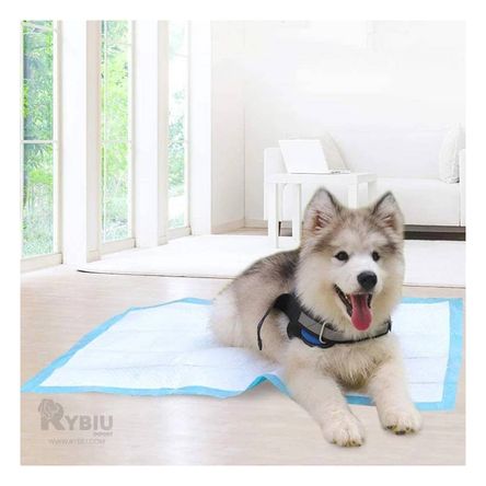 Pañal de Piso Practico 45x60 en Talla M Y+Papel de Regalo Pañal de Piso Practico 45x60 en Talla M Y+Papel de Regalo