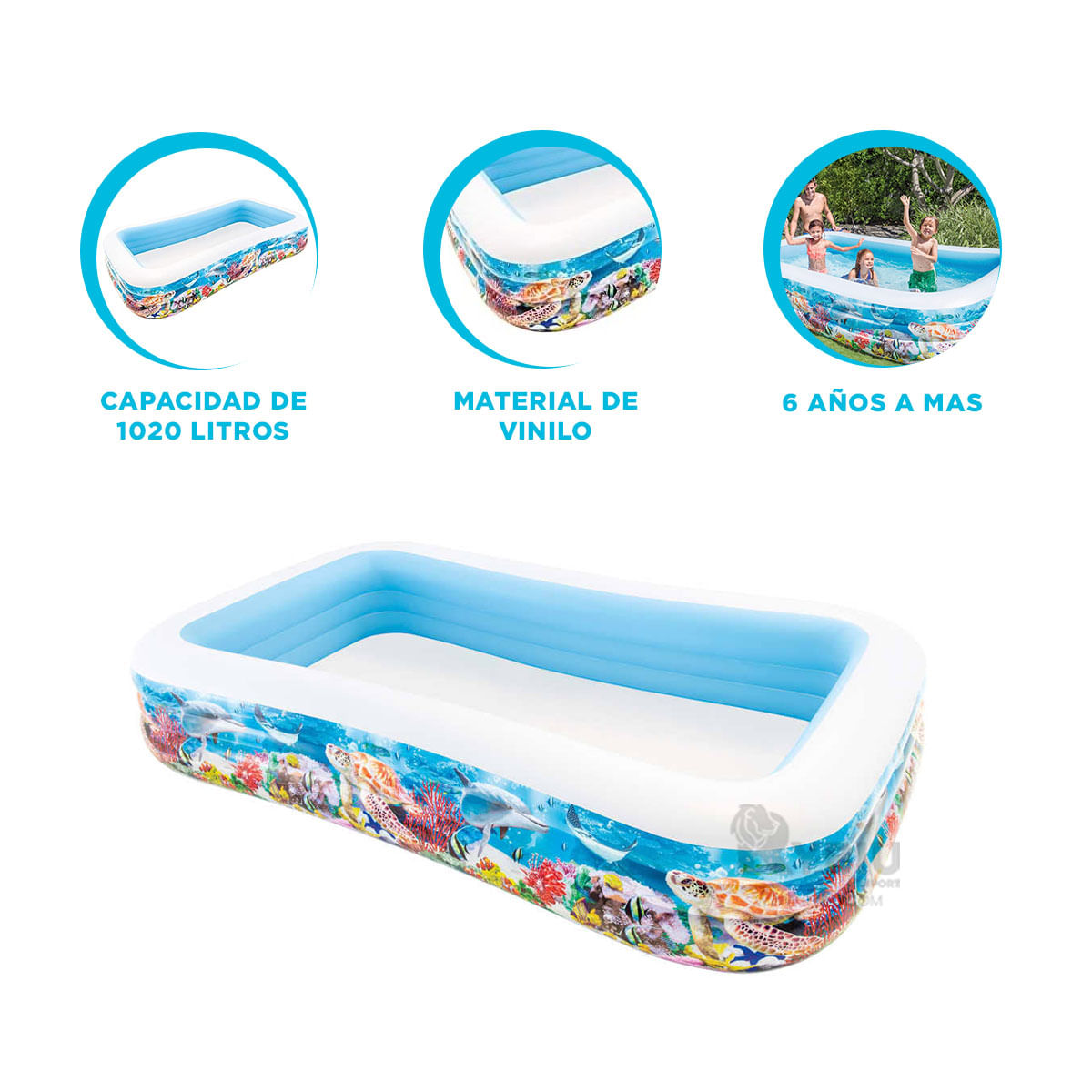 Pileta Amplia y Resistente en Multicolor Y+Ligas de Regalo