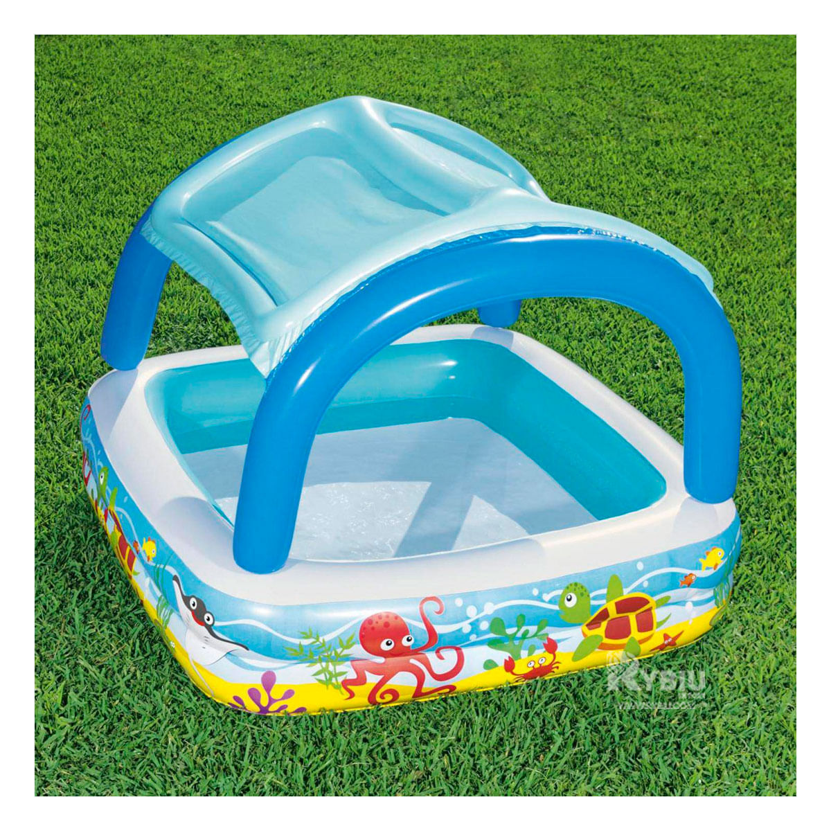 Piscina para Juegos Acuaticos de Pequeños Y+Regalo Stickers