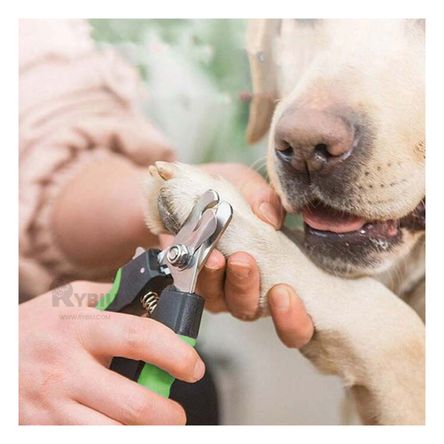 Cortauñas Facil de Usar en Talla L Y+Papel de Regalo Cortauñas Facil de Usar en Talla L Y+Papel de Regalo