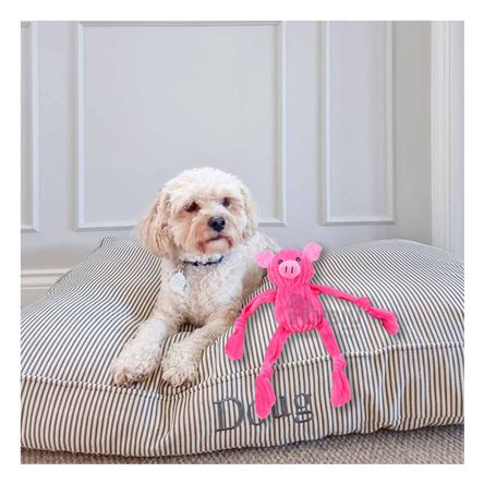 Peluche Sencillo de Guardar en Rosado Y+Papel de Regalo