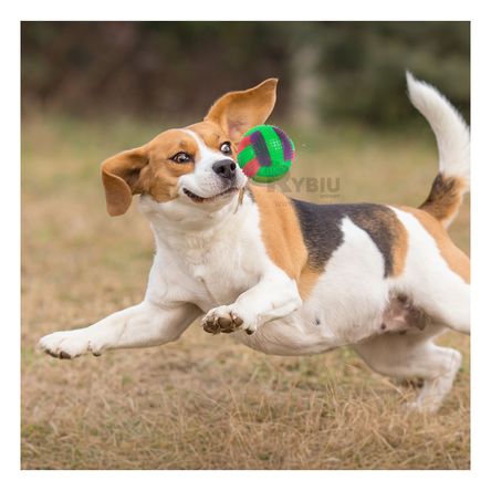 Pelota Interactiva para Juegos Verde Y+Papel de Regalo
