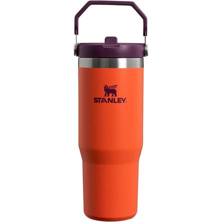 Botella De Agua Deportiva Stanley IceFlow 30 Onzas Ciruela Tigerlily Botella De Agua Deportiva Stanley IceFlow 30 Onzas Ciruela Tigerlily