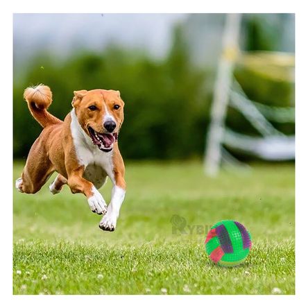 Pelota Dinamica con Sonidos de Color Verde Y+Regalo Stickers
