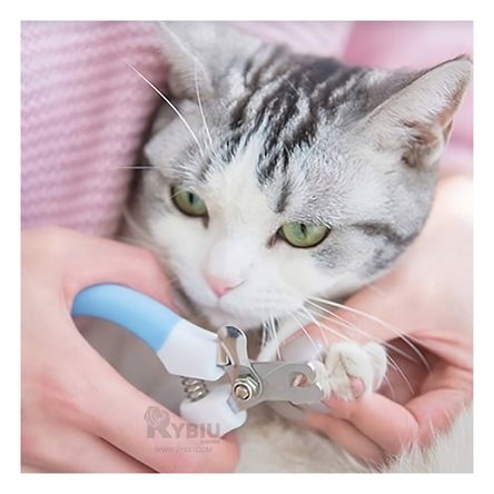 Corta Uñas Firme para Gatos Grande en Azul Y+Regalo Agendita Corta Uñas Firme para Gatos Grande en Azul Y+Regalo Agendita