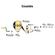 imageUrl_15