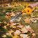 imageUrl_5