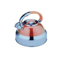 Tetera de Acero inoxidable Luissant 5 Litros LU-324T-SN