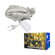 imageUrl_2