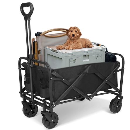 image-166cf443ca6044a5a876f6d5bbd01b6c image-166cf443ca6044a5a876f6d5bbd01b6c