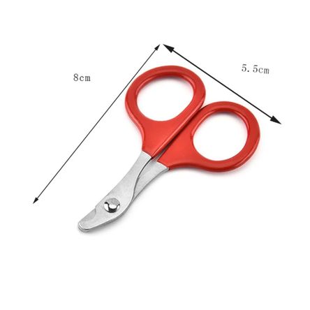 image-3683c7a1b5284b6891b9320835933244 image-3683c7a1b5284b6891b9320835933244