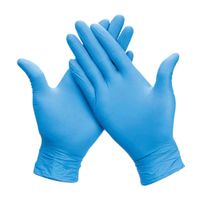 Guantes de nitrilo Libres Polvo Talla L x 100 unidades