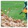 imageUrl_5