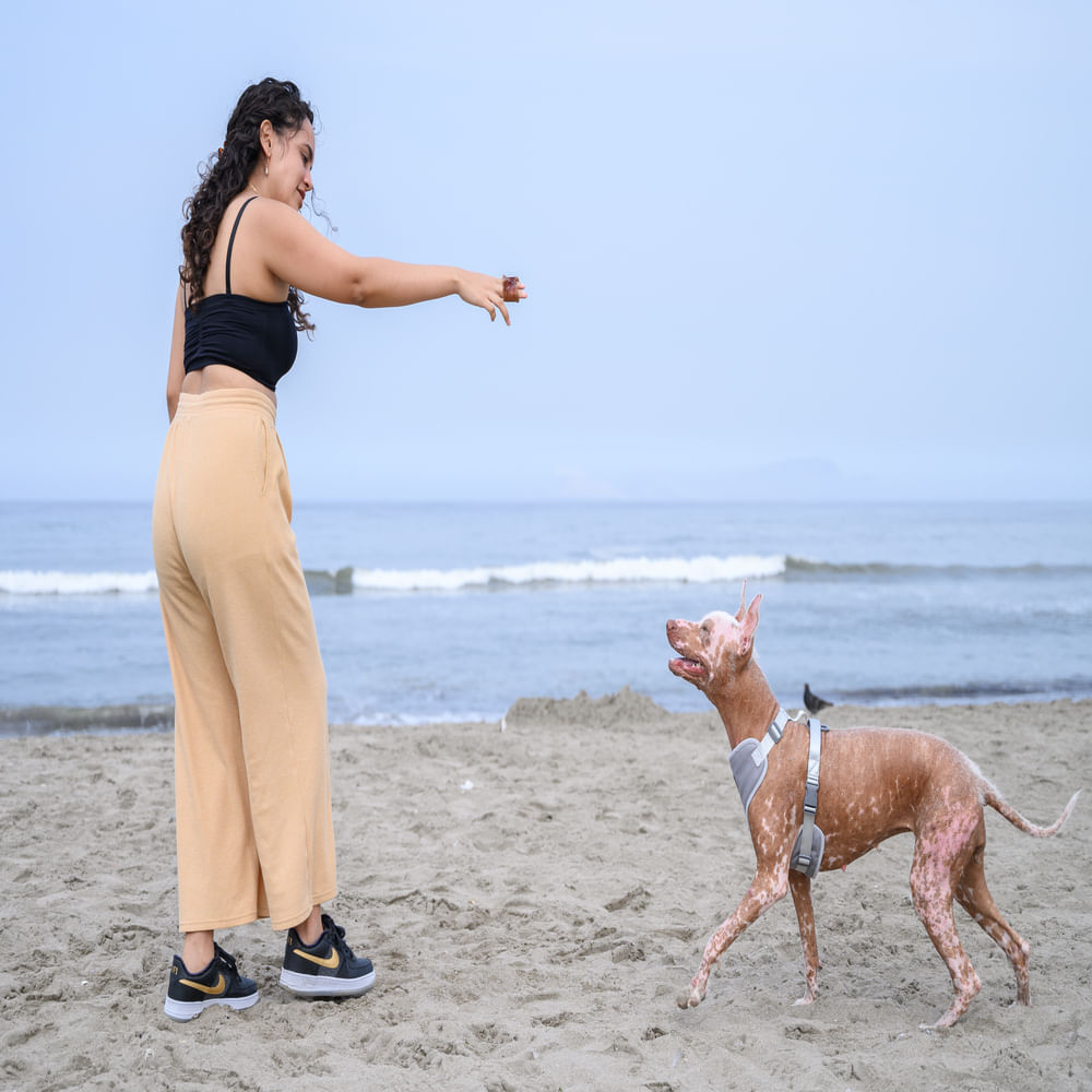Pechera Parnes Talla S Snow Gray Pechera Parnes Talla S Snow Gray