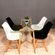 imageUrl_5