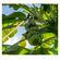 imageUrl_2