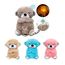 imageUrl_1