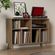 imageUrl_4