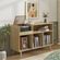 imageUrl_3