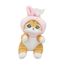 imageUrl_1