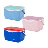 Cooler Reyplast Snowbox 20L Aislamiento Térmico Polietileno Mate Capacidad 20 l