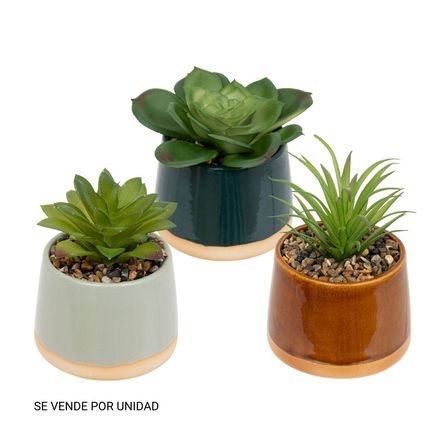 Planta Be Vintage 12cm + Maceta Cerámica Atmosphera