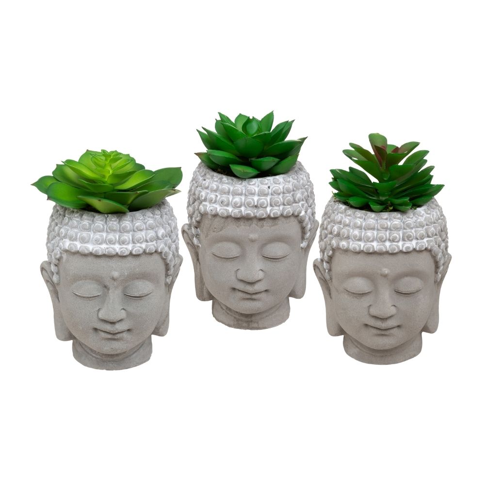 Planta + Maceta Bouddha Cemento Atmosphera