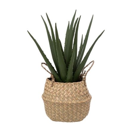 Aloe Vera 37cm + Maceta Natural Atmosphera