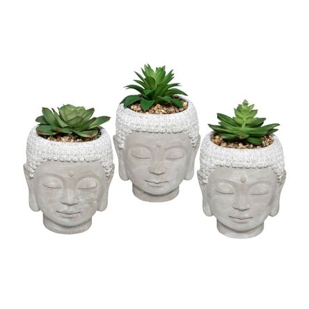 Planta 135cm + Bouddha Cemento Maceta Atmosphera