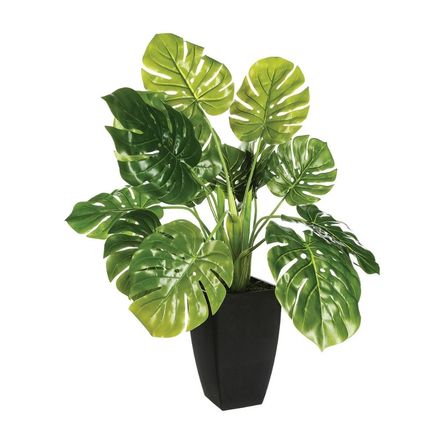 Planta Verde 70cm + Maceta Atmosphera