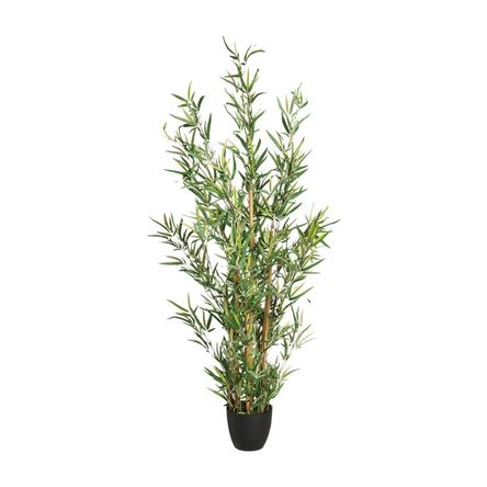 Bambú 120cm + Maceta Atmosphera