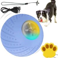 Pelota Interactiva para perros con control remoto d6cm