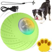 Pelota Interactiva para perros con control remoto d6cm