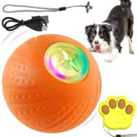 Pelota Interactiva para perros con control remoto d6cm
