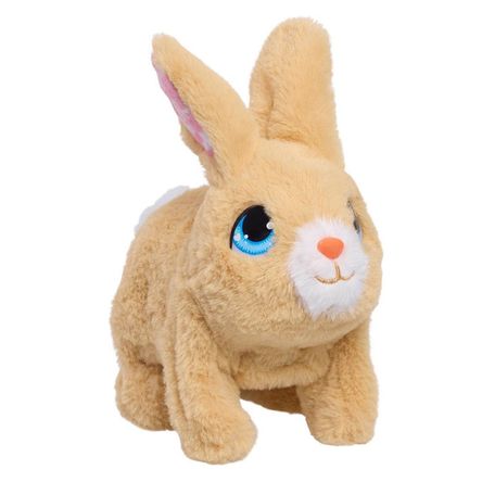 image-5a137968c6d74b27aa5c67b89235f1ba image-5a137968c6d74b27aa5c67b89235f1ba