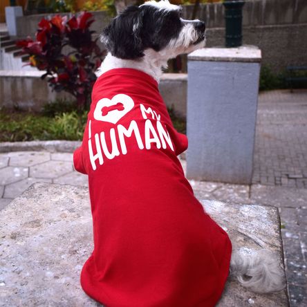 Polo Básico I Love My Human Rojo Talla L