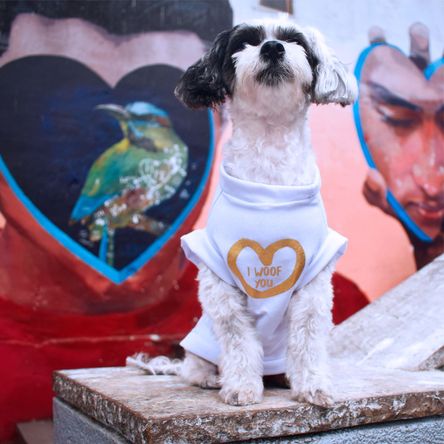 Polo Básico I Woof You Blanco Talla L Polo Básico I Woof You Blanco Talla L