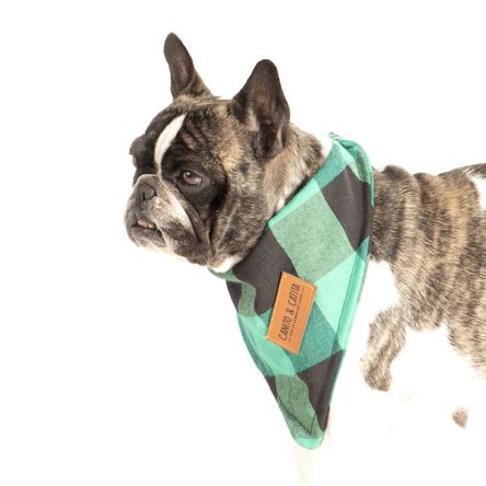 Bandana Escocesa Verde Talla XL Bandana Escocesa Verde Talla XL