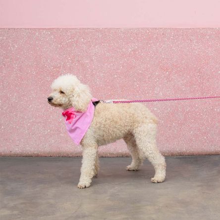 Bandanas Bubble Talla M Bandanas Bubble Talla M