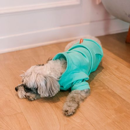 Hoddies Basic Verde Agua Talla M