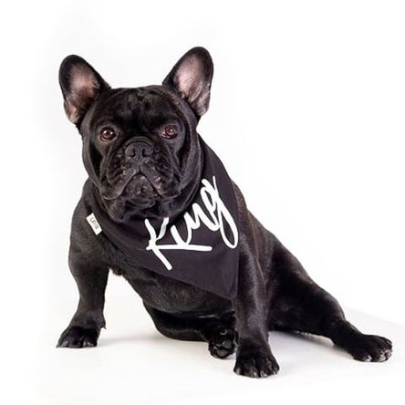 Bandana Negra King Talla S Bandana Negra King Talla S