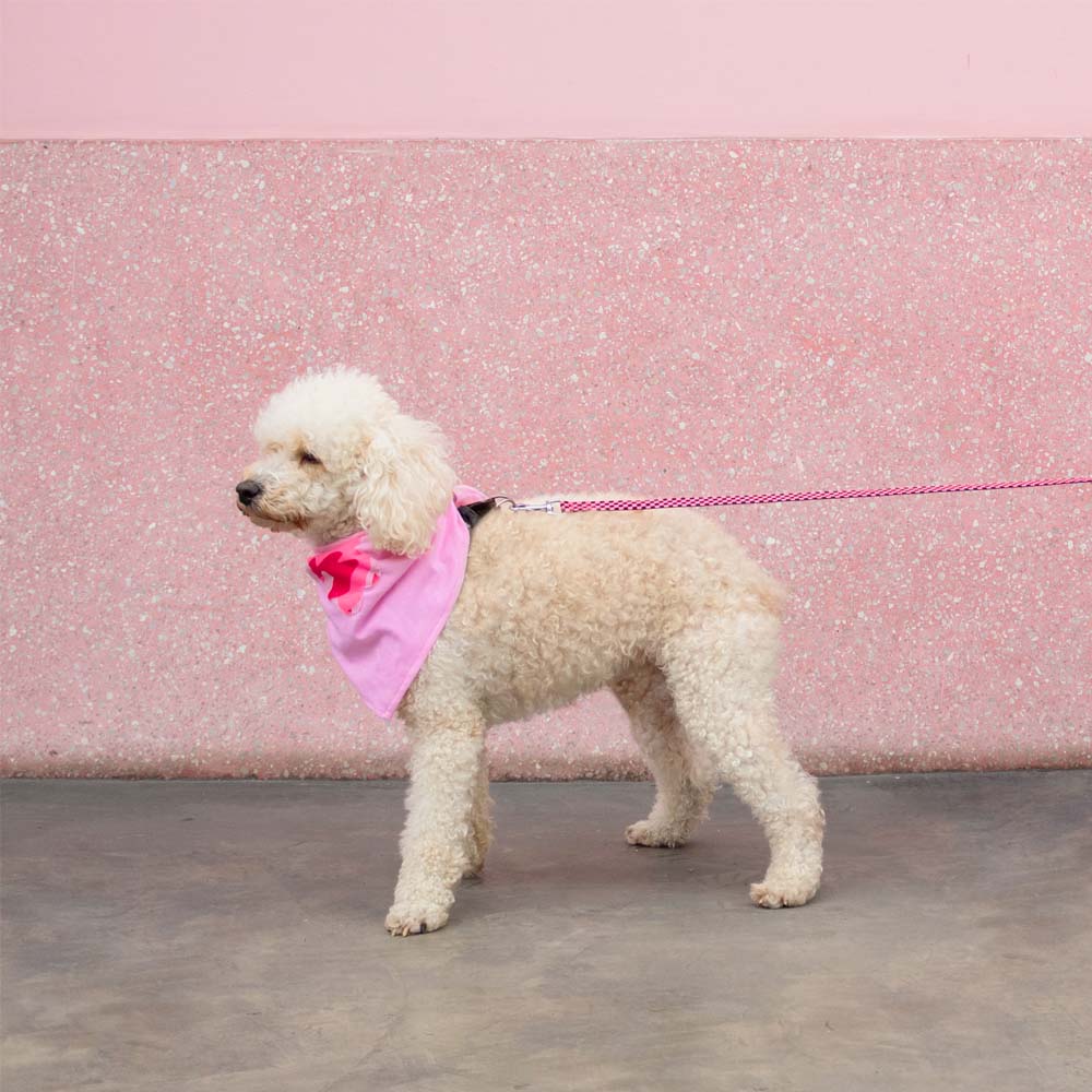 Bandanas Bubble Talla L Bandanas Bubble Talla L