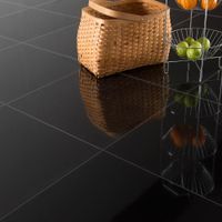Piso Porcelanato Liso Black Nano 60x60cm 1.44m2 Orange