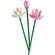 imageUrl_2