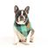 imageUrl_2
