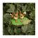 imageUrl_5